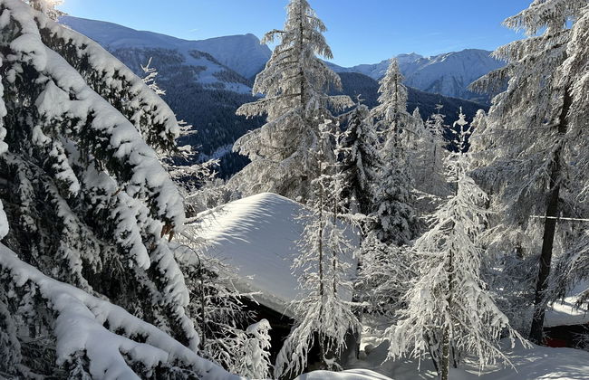 Chalet Soldanella (BEL205) - Foto 20