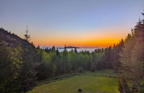 Greer's Outlook - Foto 39