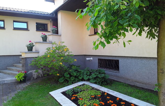 Rural tourism homestead JOLE - Photo 31