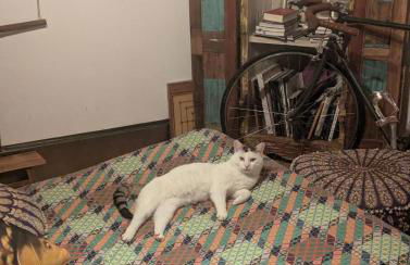 Chalet sul Trasimeno - Photo 35