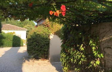 Le Mazet de Lola - Foto 39