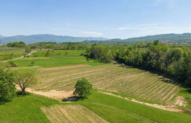 Tourist Farm Valic - Apartment and Winery - Photo 13
