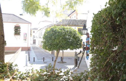 Los Tejares del Alcazar - Foto 33