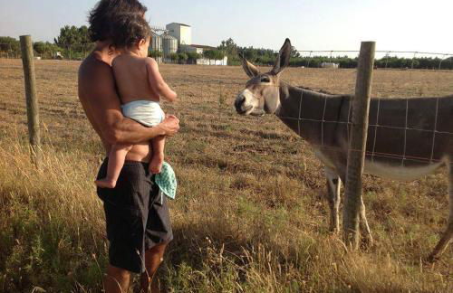 Herdade do Sardanito da Frente - Foto 11