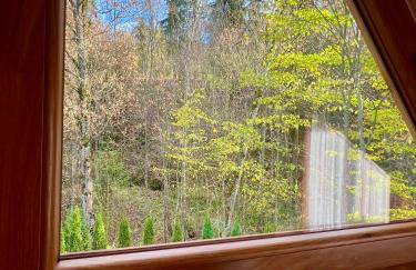 Domki przy Potoku - Foto 156