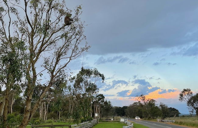 Tindoona Cottages - Foto 27