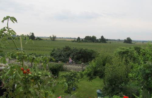 zum Wiesengrund im Oderbruch - Foto 10