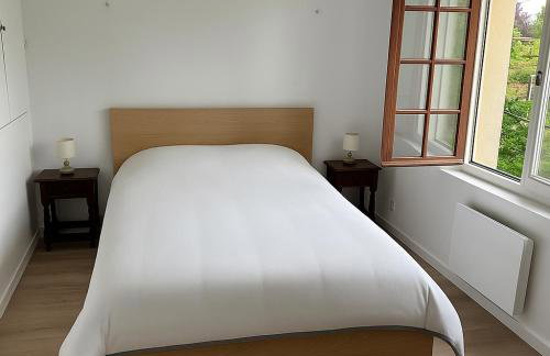 Bout du Haut - Foto 9