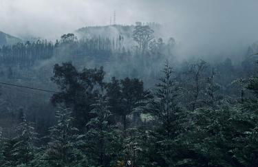 Streliciahouse - Foto 13