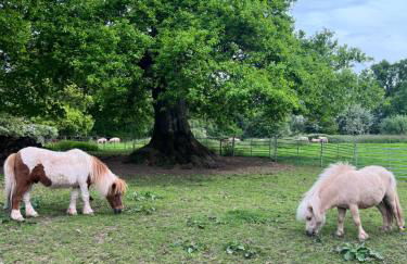 The Cottage - Foto 18