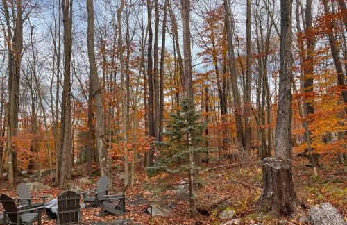 Stylish and Cozy Cabin, Walking Distance to Big Bass Lake - Foto 37