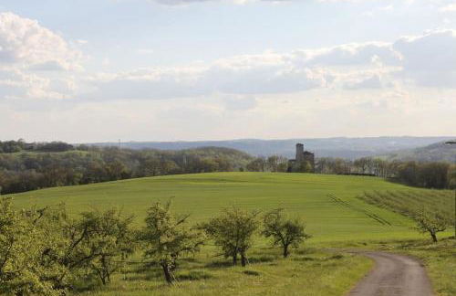Grande maison en pierre de taille avec piscine, sauna et jacuzzi - Foto 52
