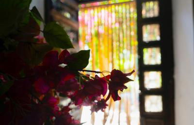 Cortijo Negretti - Foto 5