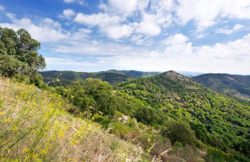 Sorrabona Apartments - Photo 68