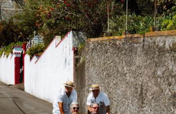 Pana House - Photo 66