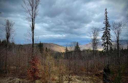 Apartament pod Wielką Sową z Sauną Infrared - Foto 19