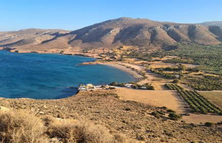 Olivar Suites - Photo 34