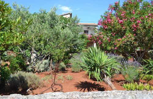 Apartments Basina - Foto 74