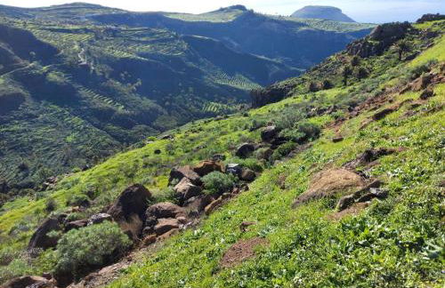 Los Corralitos - Foto 58