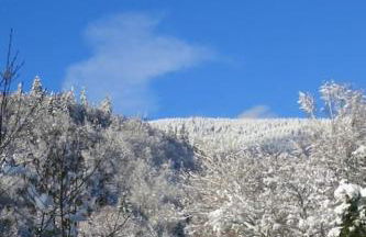 Ferienwohnung Schog - Foto 42