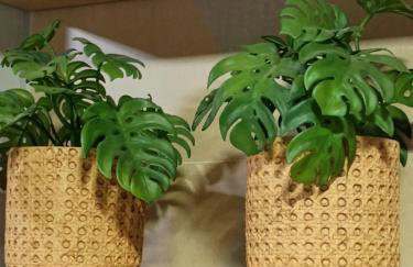 FLAT 231 Shopping Amarração - Foto 26