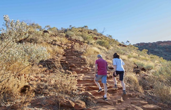 Kings Canyon and Outback Panoramas - Full-Day Small GroupTour - Foto 7