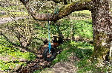 Fern Lodge - Foto 29