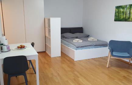 Wohnung am Neckar - Foto 24