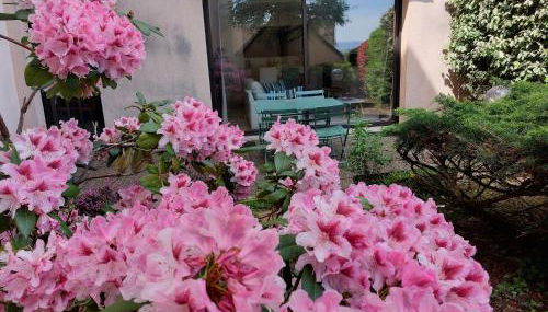 Le DenysPuech 55m2 plein centre avec jardin! - Photo 2, Garden