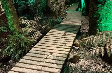 Cabana Lara, com lareira e muito estilo. - Foto 20