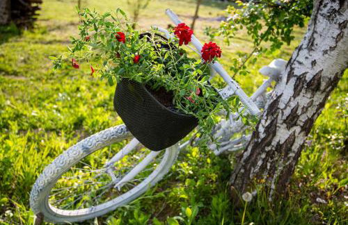 Kuća za odmor Grunt - Foto 15