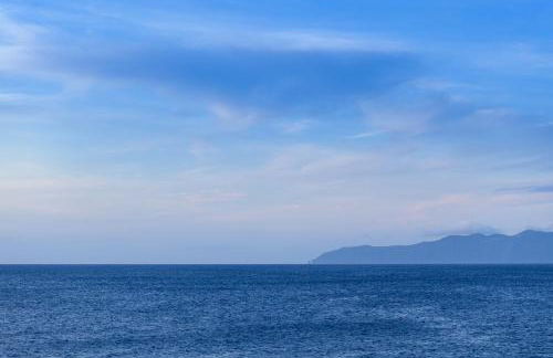 Adega Menezes - Photo 14