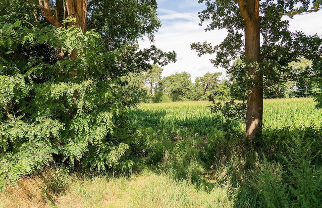 Lovely Wooden Chalet With Garden in Reutum - Photo 38