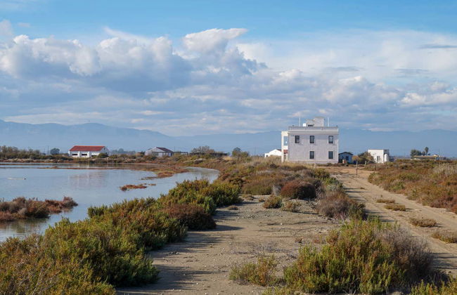 Entrada a MónNatura Delta del Ebro - Foto 5