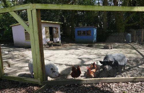 The Stables - 2 bed with large garden and hot tub. - Foto 26