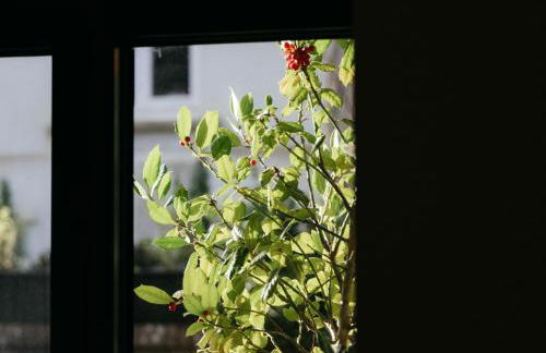 The Observatory Annexe - Foto 25