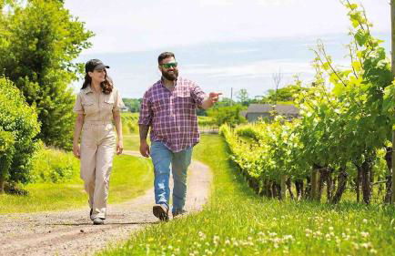 Stunning luxury Retreat I Wineries & Fall Farm Fun - Photo 45