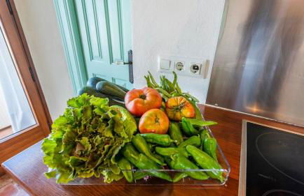 Atico la Carrasquilla Gaucin by Ruralidays - Foto 23