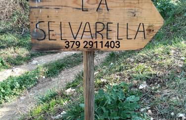 La Selvarella - Foto 4