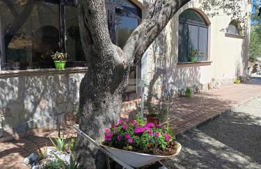 Petrus Cilento Rooms - Foto 42