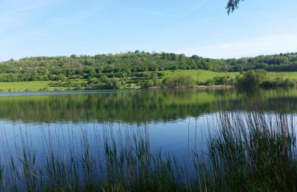 Ferienhaus Eifelhöhe mit Maarpanorama - Foto 28