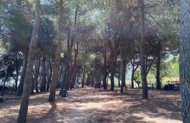 HolidayHome Manetta tra Mare e Natura - Photo 55