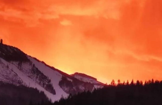 Cottage in Rinchnach Bavaria Near the Forest - Photo 23