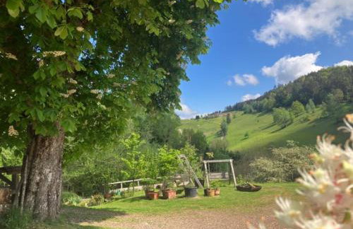Auszeit im Waldhaus - Foto 18