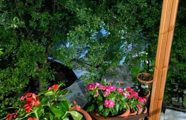 Sevastie's Home - downstairs - Foto 14