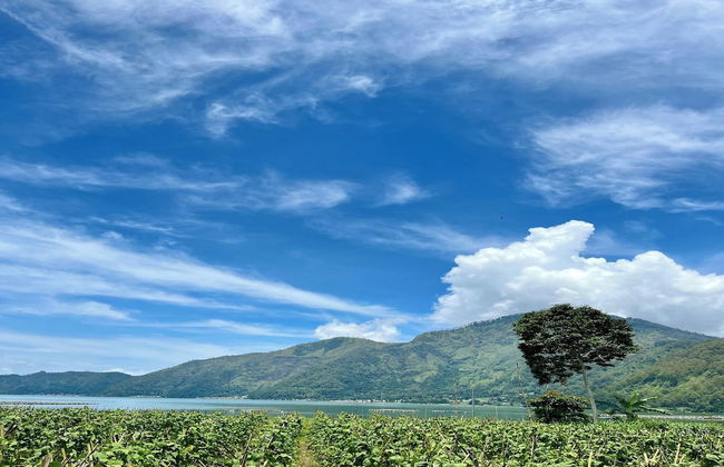 Batur Sunsun Kintamani - Foto 28