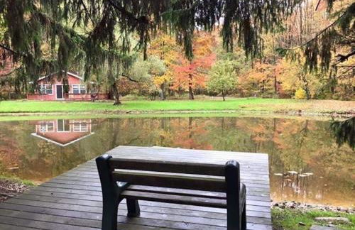 The Game Cabin at Rustic River - Foto 9