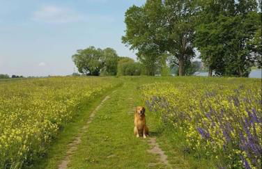 Souterrain-Apartment mit privater Sauna (inkl.) - Foto 32