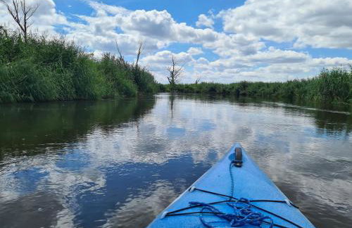 U Judyty na Ponidziu Gospodarstwo Agroturystyczne - Foto 14