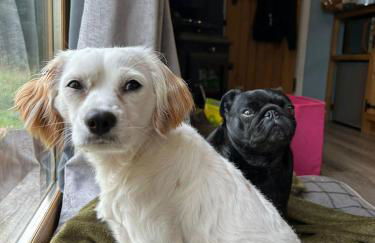 Luxury Shepherd Hut in the Peak District - Foto 55
